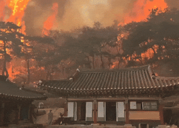 한국 남동부 산불, 최소 24명 사망…“역대 최악, 천년고찰도 전소”