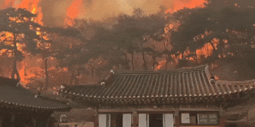 한국 남동부 산불, 최소 24명 사망…“역대 최악, 천년고찰도 전소”