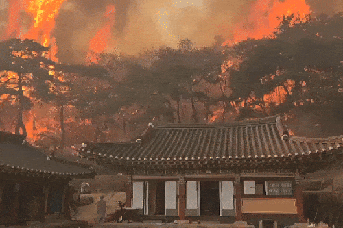 한국 남동부 산불, 최소 24명 사망…“역대 최악, 천년고찰도 전소”