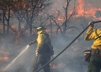 텍사스 A&M 산림청, 텍사스 전역에서 25건의 산불 … 총 3,320에이커 피해