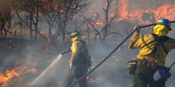 텍사스 A&M 산림청, 텍사스 전역에서 25건의 산불 … 총 3,320에이커 피해