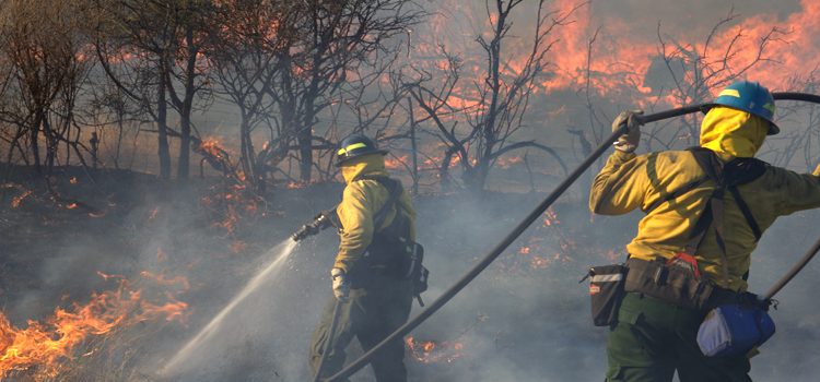 텍사스 A&M 산림청, 텍사스 전역에서 25건의 산불 … 총 3,320에이커 피해