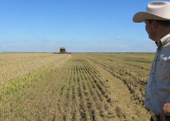 텍사스 농업 및 건설업 불법이민자가 전체 노동력 최대 70% 차지