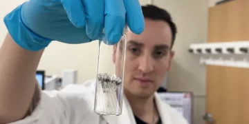 인간의 뇌 속 미세플라스틱, 1회용 숟가락 무게만큼 축적