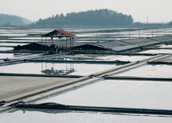 미국, 강제노동 시킨 한국염전의 소금 ‘수입불가’