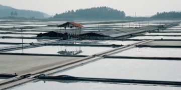 미국, 강제노동 시킨 한국염전의 소금 ‘수입불가’