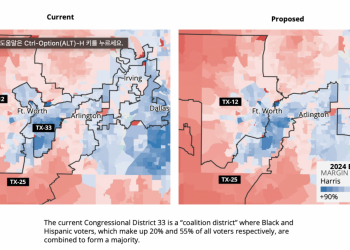 텍사스 선거구 재조정, 도시 유권자 대표성은 오히려 약화