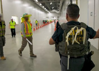 미주한인회총연합회, 조지아 한국 기업 근로자 체포 사태에 “심각한 우려”… 신속한 해결 촉구