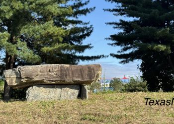 [오늘의 사진]  청동기 선사유적을 밀어낸 레고랜드, 애처러운 고인돌