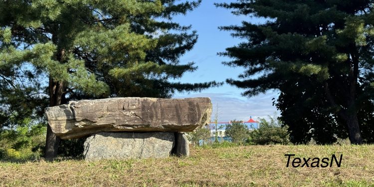[오늘의 사진]  청동기 선사유적을 밀어낸 레고랜드, 애처러운 고인돌