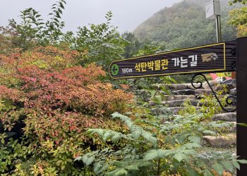 [태백기행] ‘검은 금‘의 기억을 걷다 …. 태백석탄박물관, 탄광문화촌