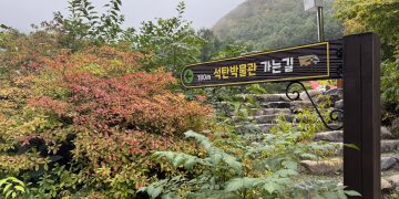 [태백기행] ‘검은 금‘의 기억을 걷다 …. 태백석탄박물관, 탄광문화촌