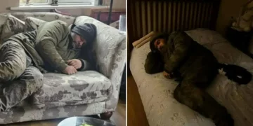 ‘AI로 조작된 침입 영상’ 유행 … 라운드락 경찰 “허위 신고는 범죄 행위”