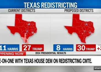 미 연방법원, 텍사스 새 의회선거구 사용 금지… 트럼프·공화당 의석수 늘리기 ‘타격’