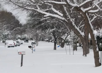 텍사스 기상청 2025-2026 겨울전망 … “기온과 강수 모두 평년과는 다소 다른 양상”