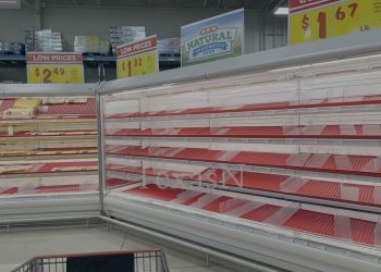 [오늘의 사진] 겨울폭풍 경보에 ‘마트 쓸어담기’ … ” 또 사재기”