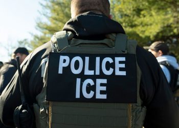 ICE 5세 아동 구금 사건, 플로레스 합의 핵심 원칙 훼손