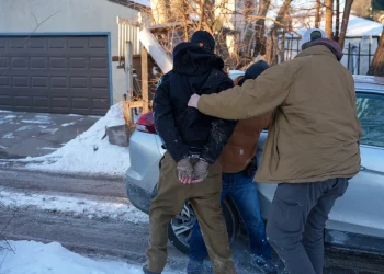 미니애폴리스서 무장 이민 단속 요원, 시민활동가 체포