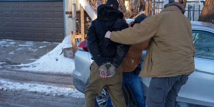 미니애폴리스서 무장 이민 단속 요원, 시민활동가 체포