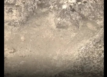 텍사스 후토(Hutto)시 선명한 ‘공룡 발자국’ 발견… 중부 텍사스 고대 생태계 조명