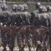 해외 거주 한국인도 재외공관서 전역증 재발급 … 29일부터 서비스 시행